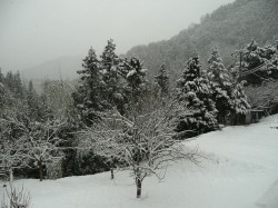 20110211黒滝雪景色 003.JPG