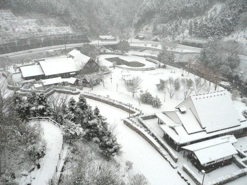 20110211黒滝雪景色 031.JPG