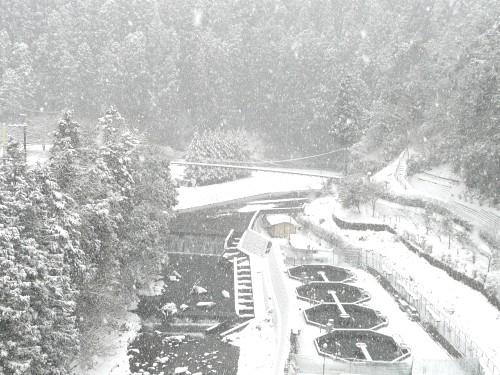 20110211黒滝雪景色 035.JPG