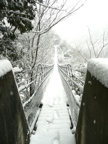 20110211黒滝雪景色 039.JPG