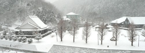 20110211黒滝雪景色 041.JPG