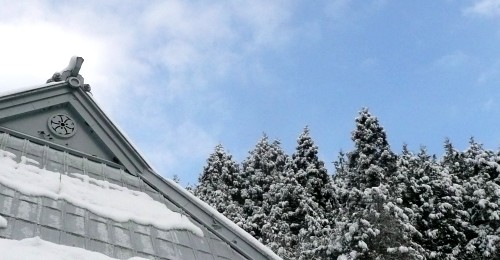 20110212黒滝雪景色 (2).JPG