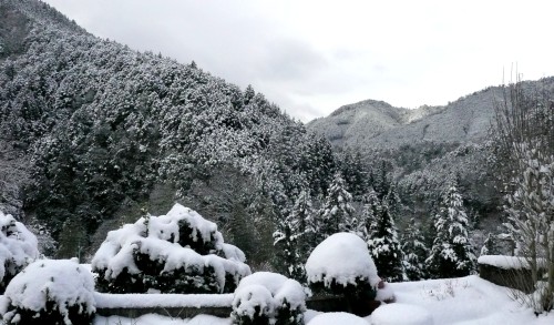 20110212黒滝雪景色 (3).JPG