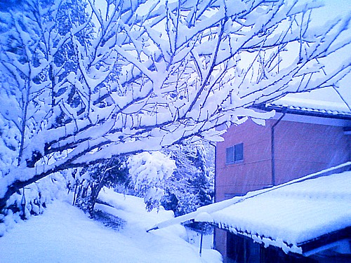 20110213黒滝雪景色.jpg