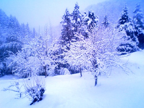 20110213黒滝雪景色１.jpg