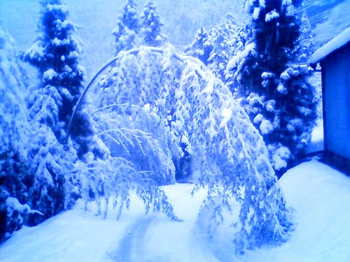 20110213黒滝雪景色３.jpg